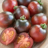Indigo Cherry Drops Tomato (Помидор чери Капли Индиго)
